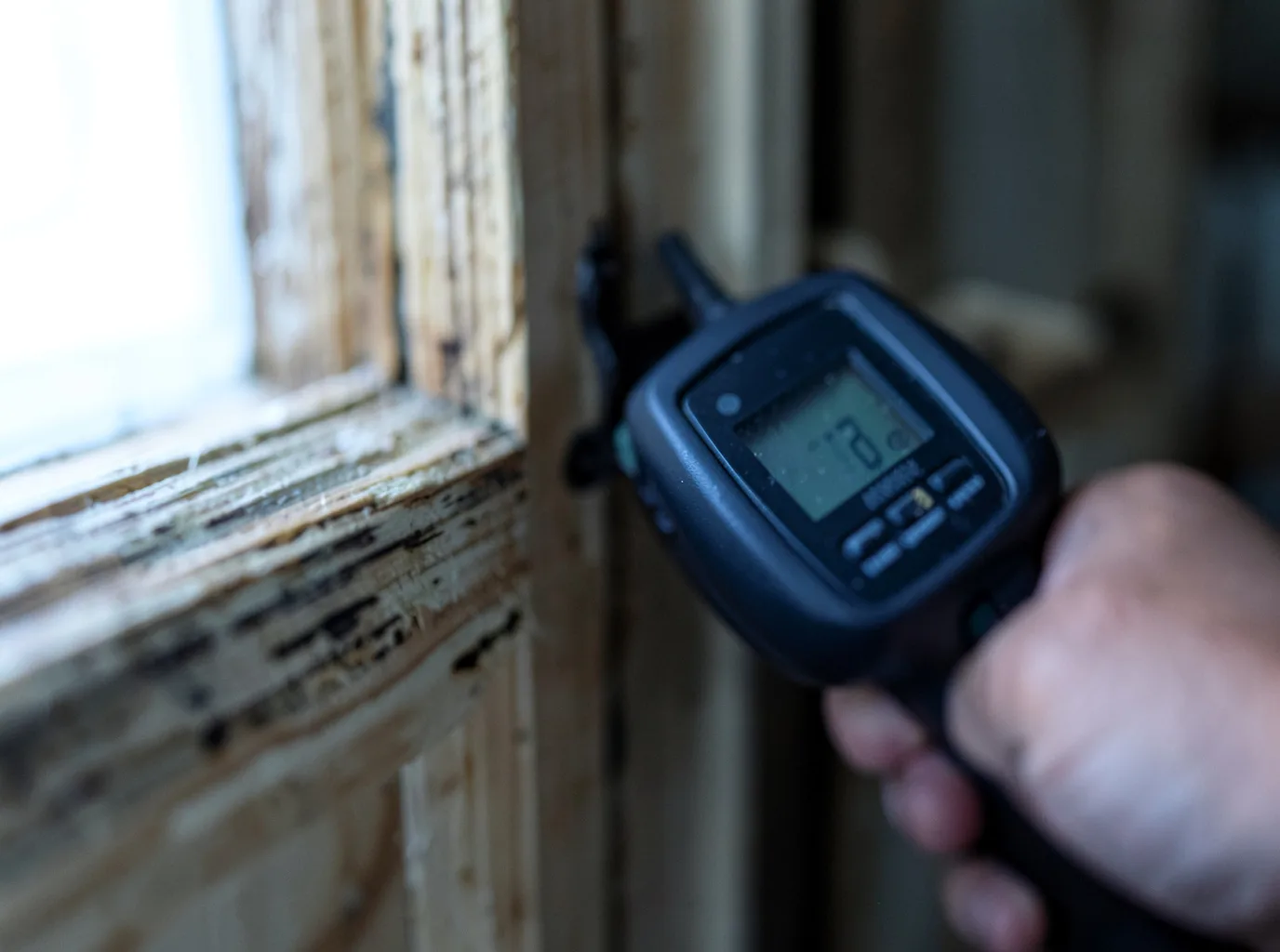 Moisture Inspection And Documentation in Torrington, WY